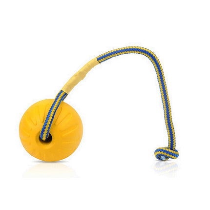 Solid Fetch Training Ball - wnkrs