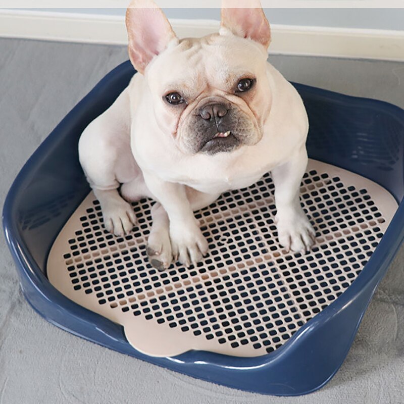 Portable Training Litter Box