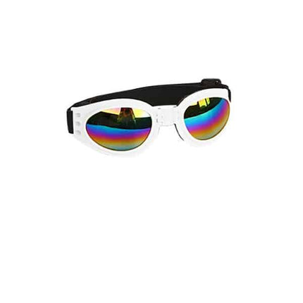 Small Pet Helmet and Sunglasses - wnkrs