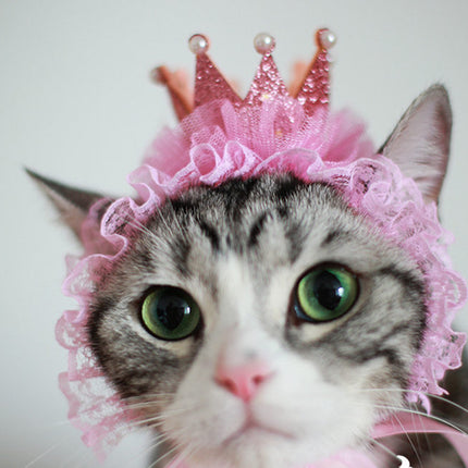 Cat Headwear - wnkrs