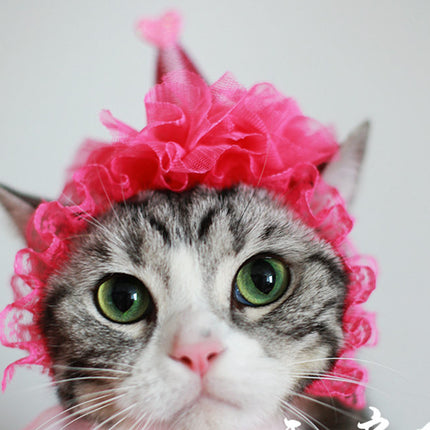 Cat Headwear - wnkrs