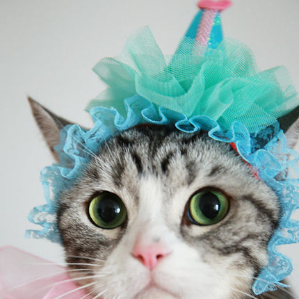 Cat Headwear - wnkrs