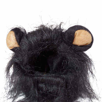 Funny Warm Themed Cat's Hat - wnkrs