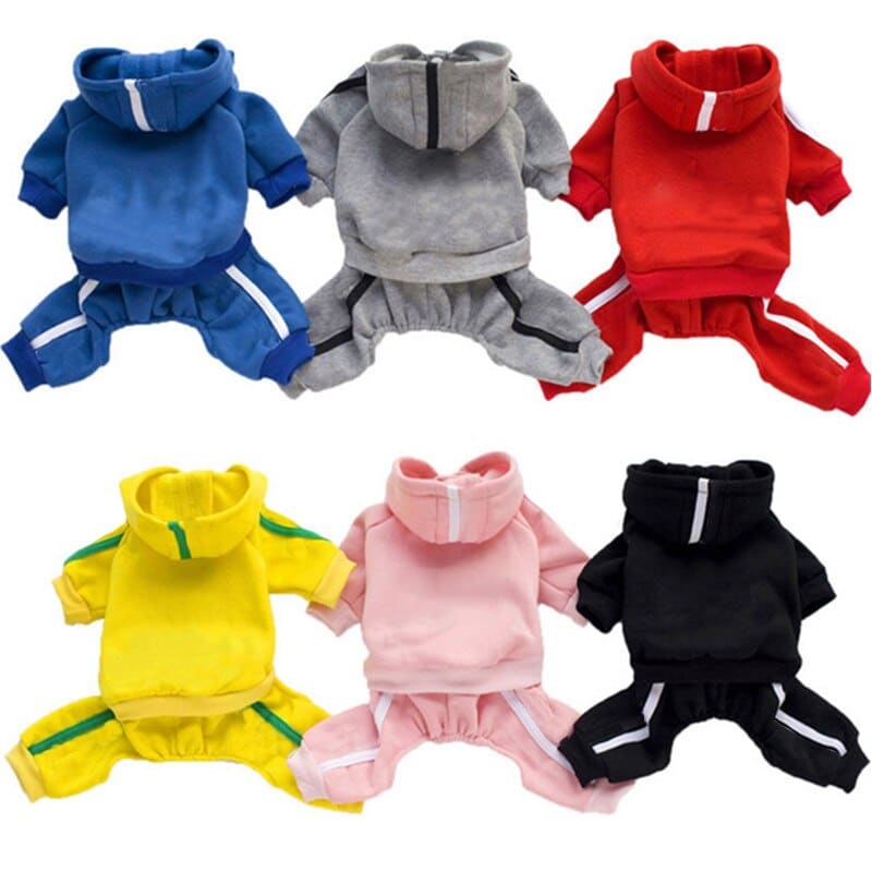 Different Colored Dog's Costume