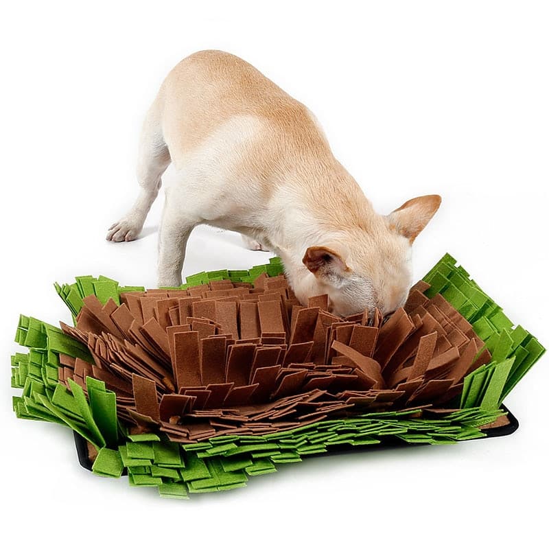 Dog's Sniffing Mat