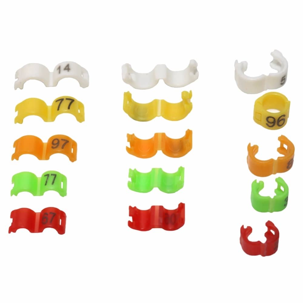 Colorful Clip Rings For Birds