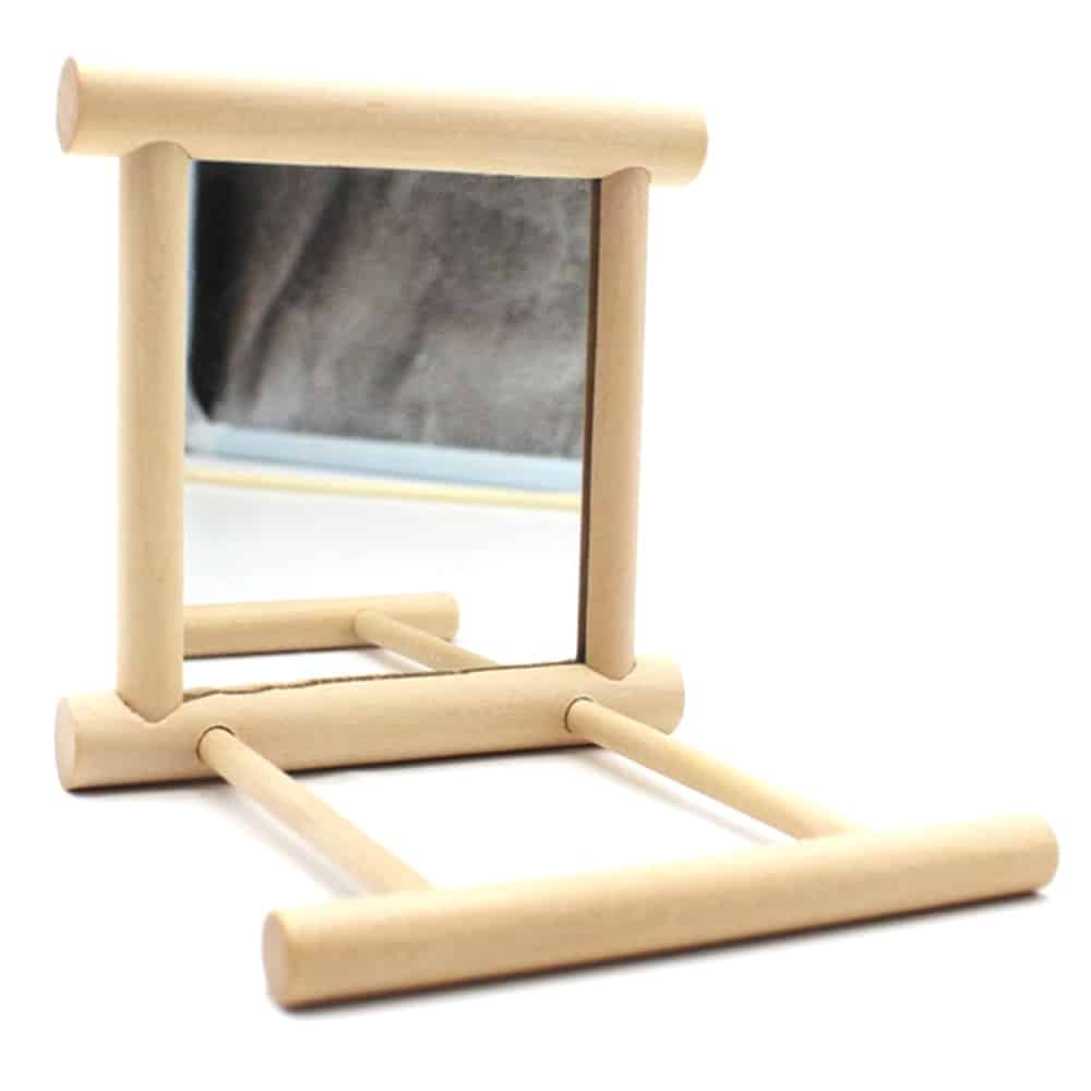 Bird's Mirror Toy