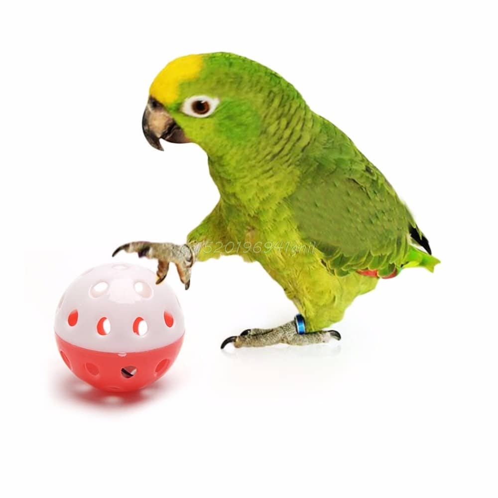 Bird's Toy Ball with Bell