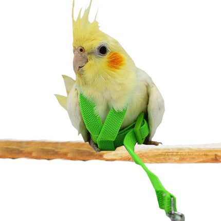 Bird's Ultralight Harness - wnkrs