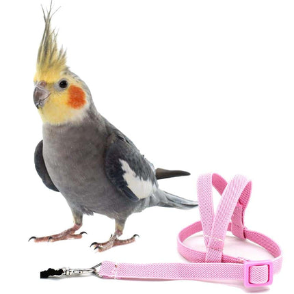 Bird's Ultralight Harness - wnkrs