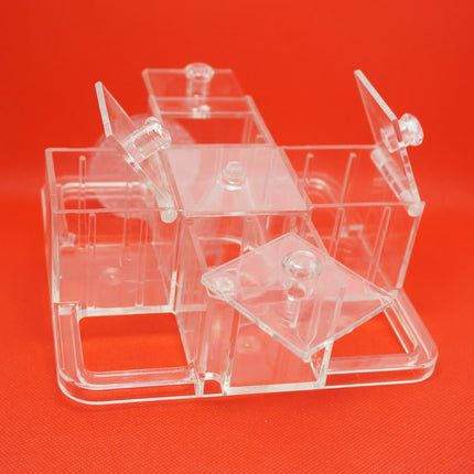 Foraging Carousel For Parrots - wnkrs