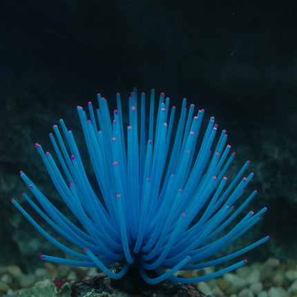 Aquarium Silicone Artificial Aquatic Life - wnkrs
