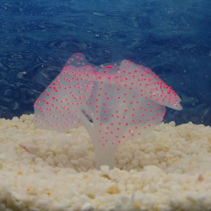 Artificial Silicone Coral for Aquarium - wnkrs