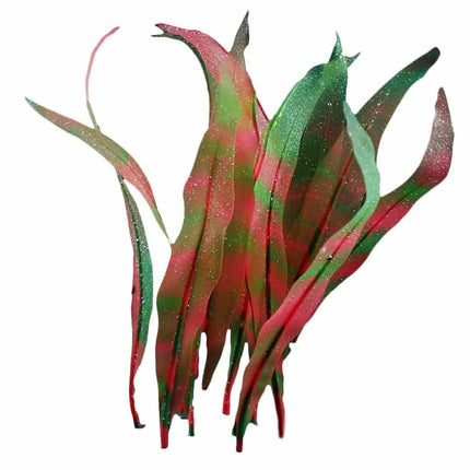 Artificial Seaweed Aquarium Decor - wnkrs