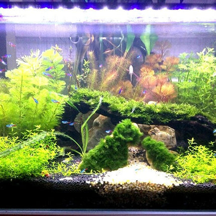 Aquarium LED Lighting Fixture - wnkrs
