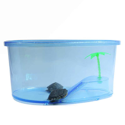 Transparent Plastic Terrariums For Turtles - wnkrs