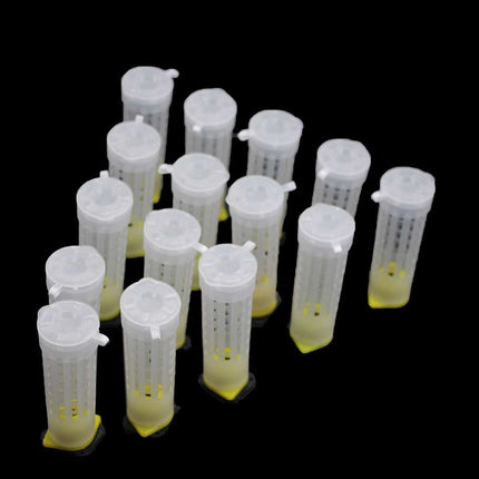 Queen Rearing Kit 50 pcs Set Cages Cups - wnkrs