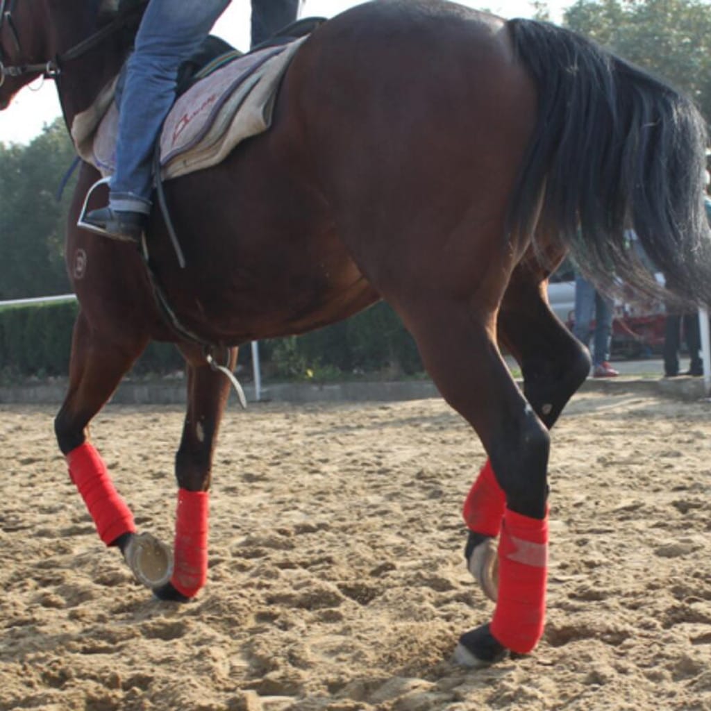 Soft Fleece Horse Leg Bandage