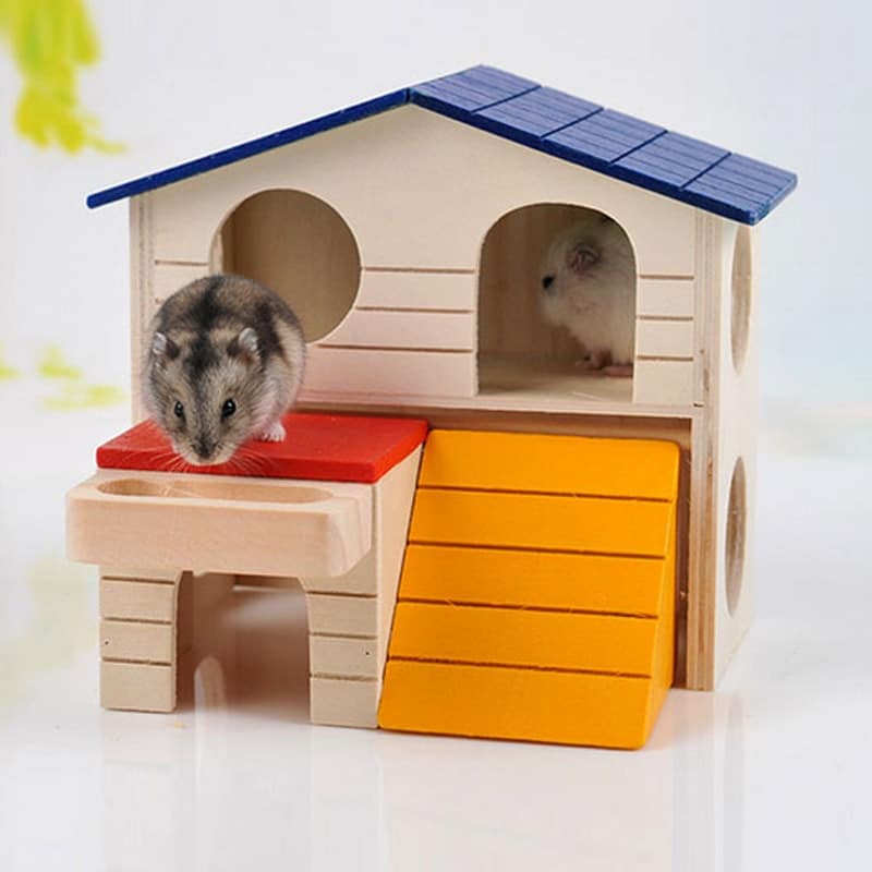 Color Block House for Small Animals