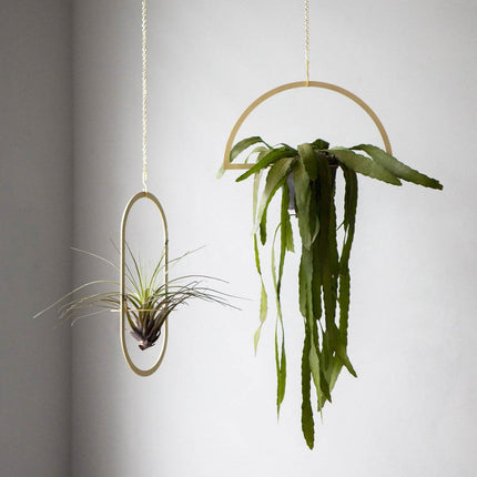 Gold Hanging Semicircle Plant Holder - wnkrs