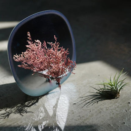 Square Blue Plant Mirror - wnkrs