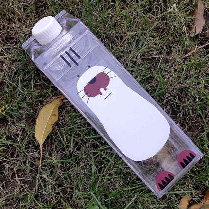 Creative Transparent Water Bottle - Wnkrs