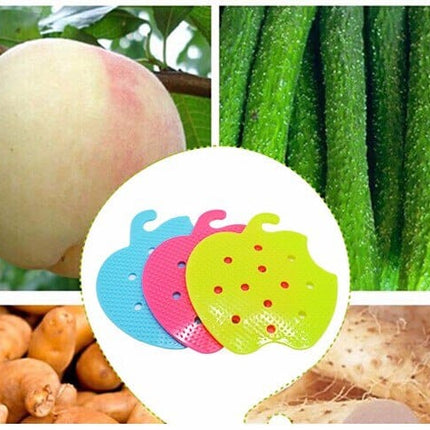 Multifunctional Brush for Fruit and Vegetable - wnkrs