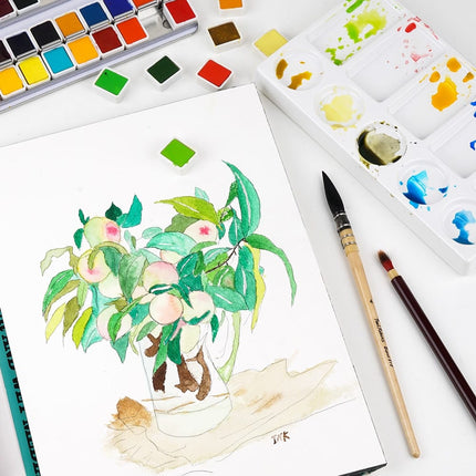 12-48 Colors Watercolor Pigment Paint - wnkrs