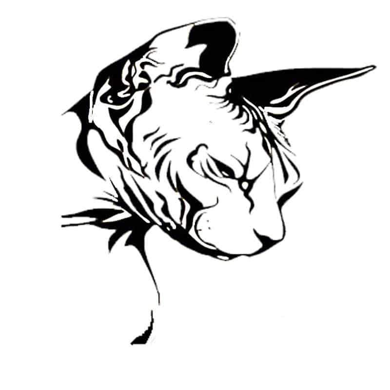 Sphynx Cat Head Car Sticker