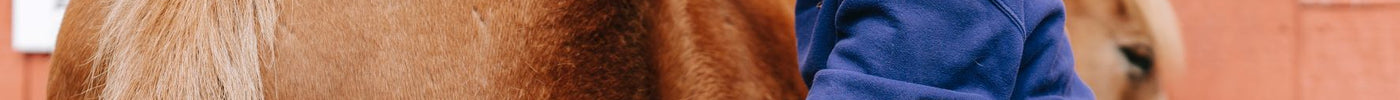 Guide to Horse Cleaning Combs: Grooming Tips and Top Picks