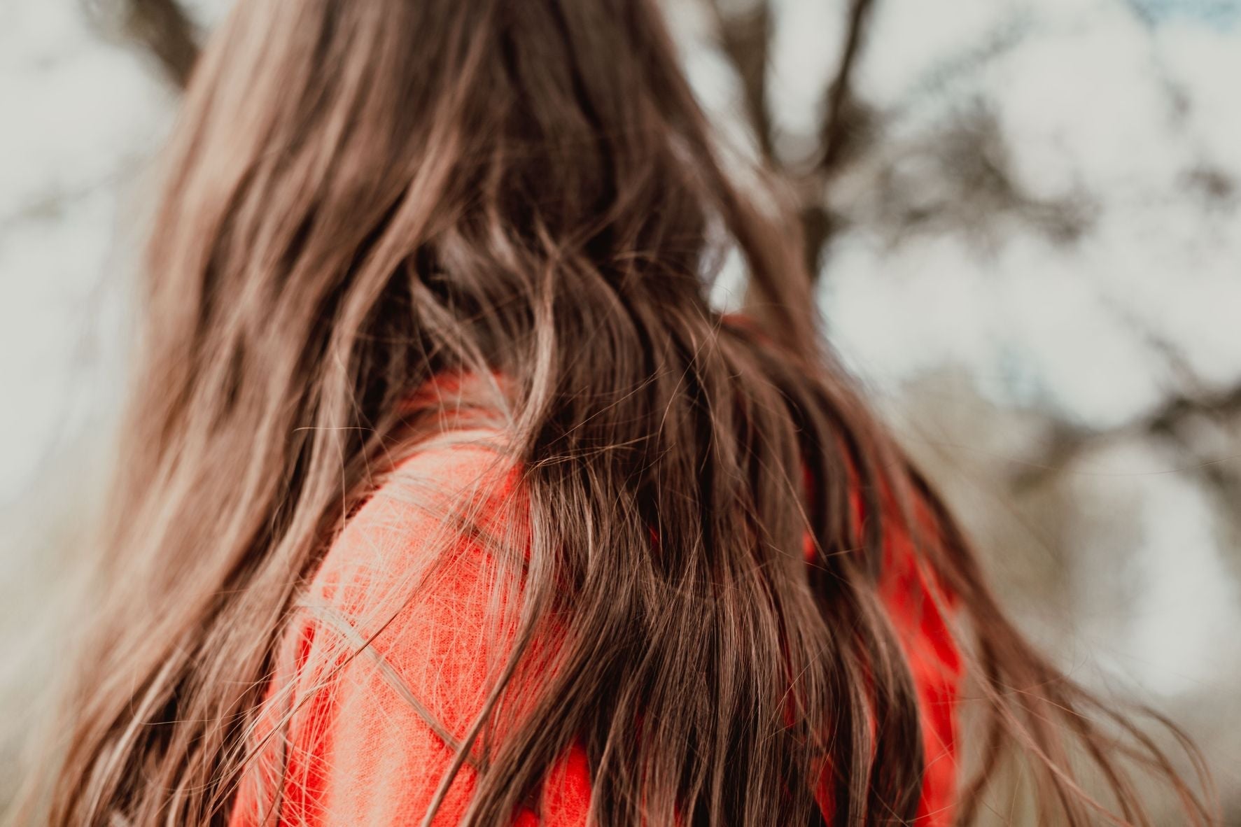Why Hair Breakage Often Starts With Mechanical Stress, Not Chemicals