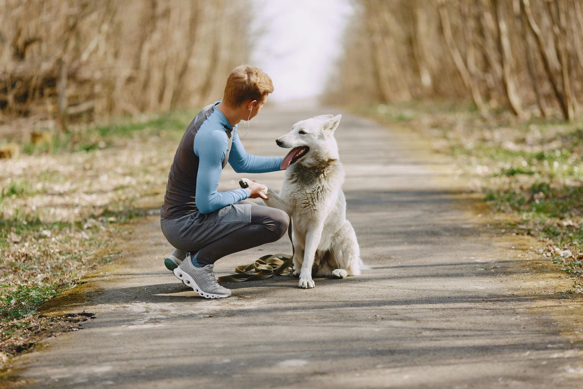 Top Outdoor Gear Picks for Pet Lovers and Adventurers