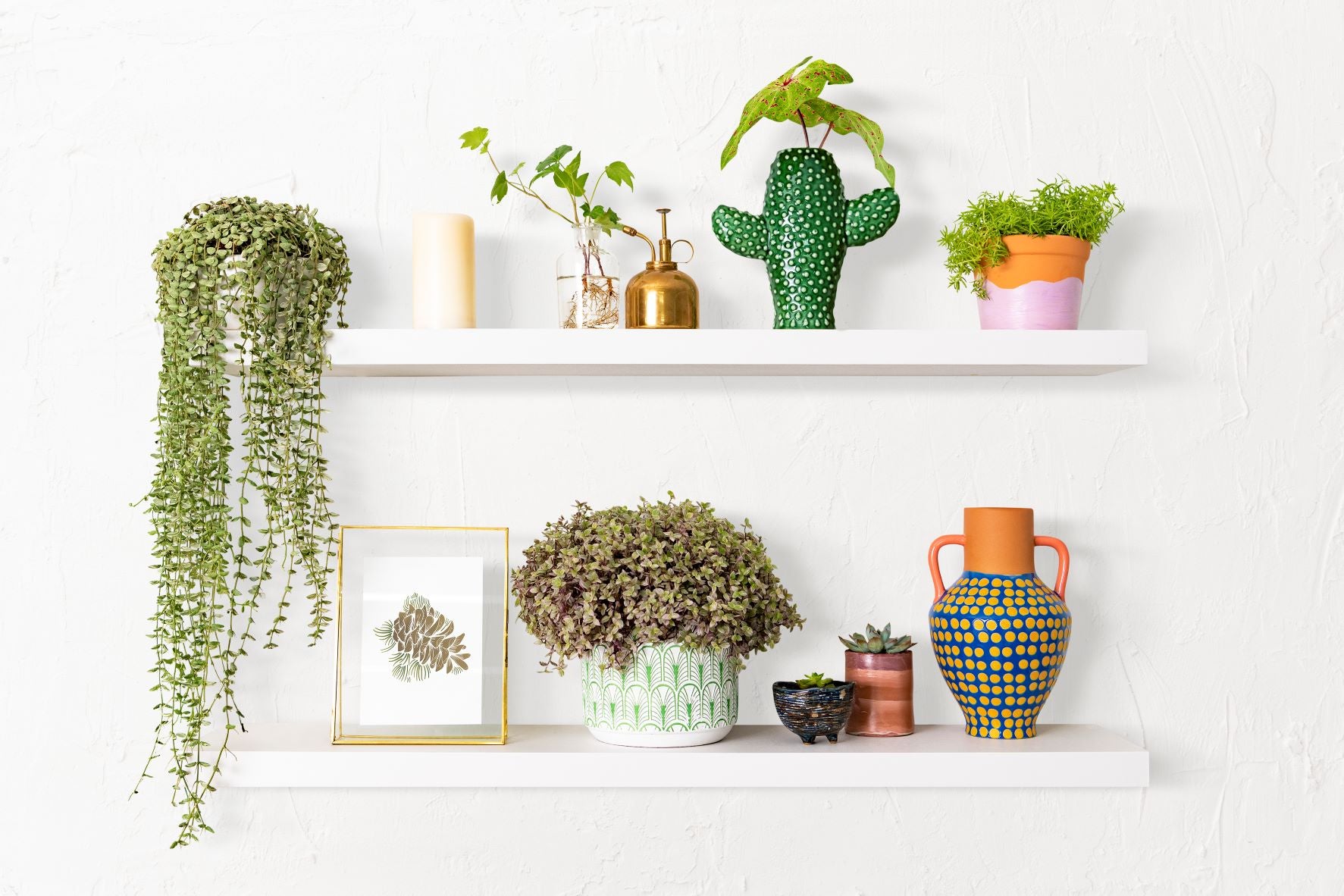 Maximize Your Space: Creative Wall Shelves and What to Display on Them