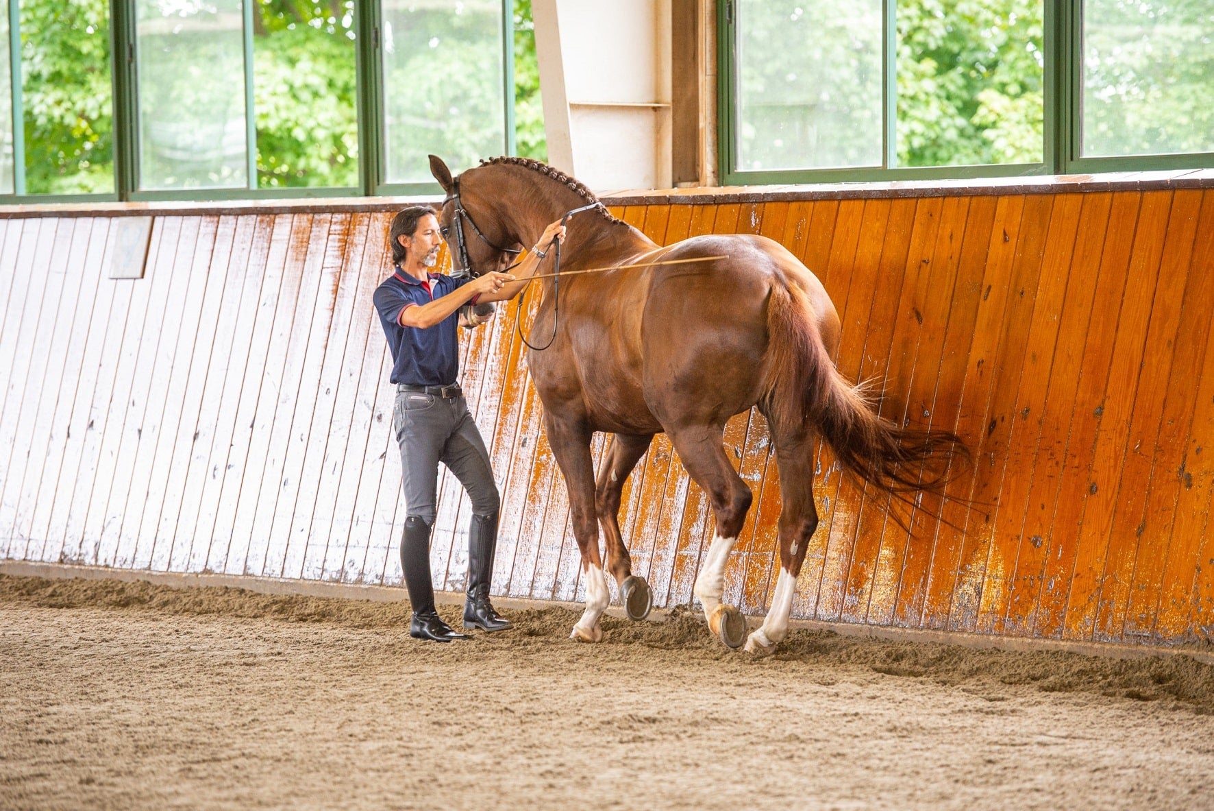 Give Your Horse a Leg-Up With a Multi-Level Feeding Program