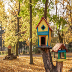 Small Animals Beds & Houses