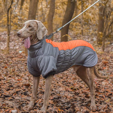 Waterproof Winter Down Jacket for Small and Medium Dogs