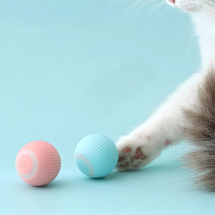 Interactive Electric Cat Ball - Wnkrs