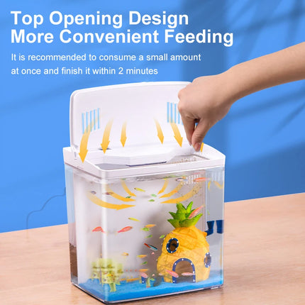 Mini aquarium à circulation automatique