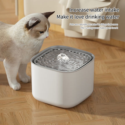 Fontaine à eau électrique pour chat - Grande capacité de 3 L avec chargement USB et filtration automatique