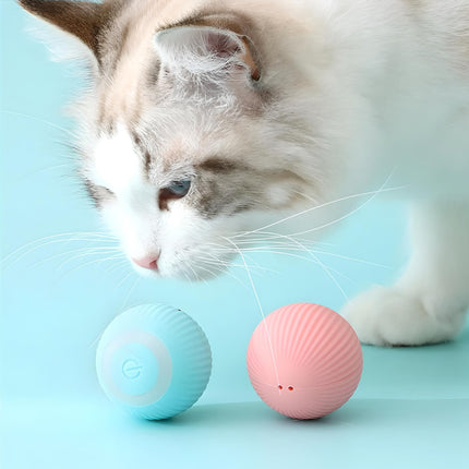 Interactive Electric Cat Ball - Wnkrs