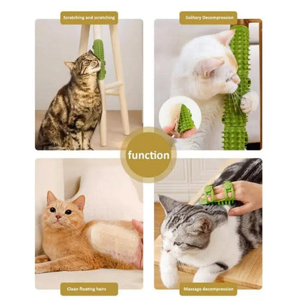 Peigne de massage et griffoir pour chat : toilettage et relaxation ultimes