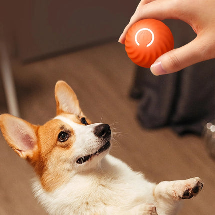 Balle jouet intelligente et interactive pour chien