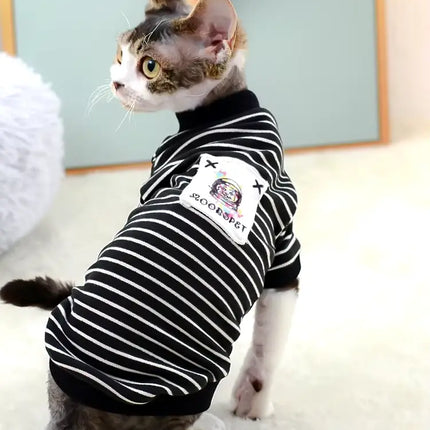 Vêtements mignons pour chats et petits chiens de printemps et d'automne