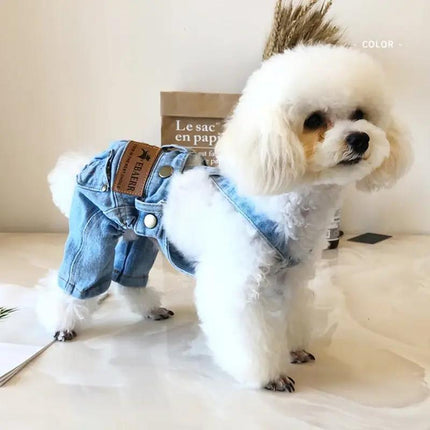 Chaqueta vaquera para perro