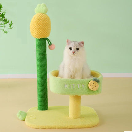 Cadre d'escalade de luxe pour chat avec griffoir en sisal et plate-forme de saut