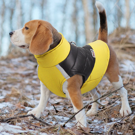 Veste réfléchissante imperméable pour chien