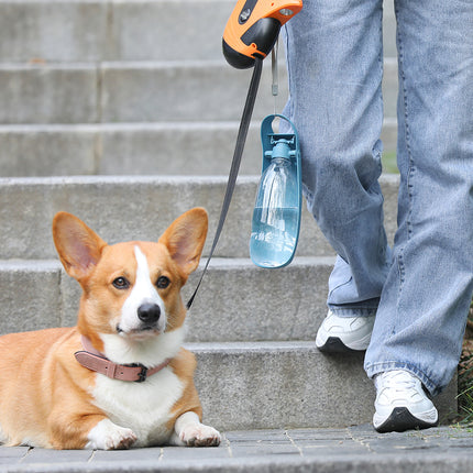 Bouteille d'eau portative pour chien