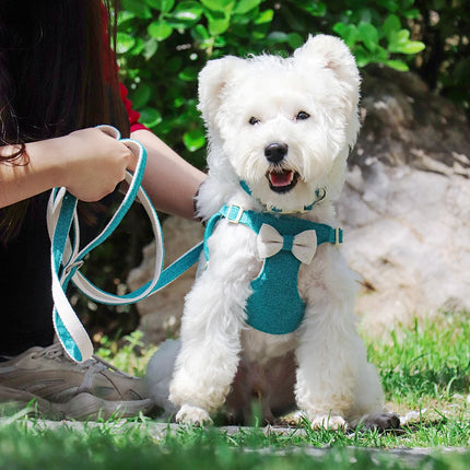 Adorable conjunto de arnés y correa para perro de liberación rápida con lazo