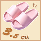 Rosa / 42-43