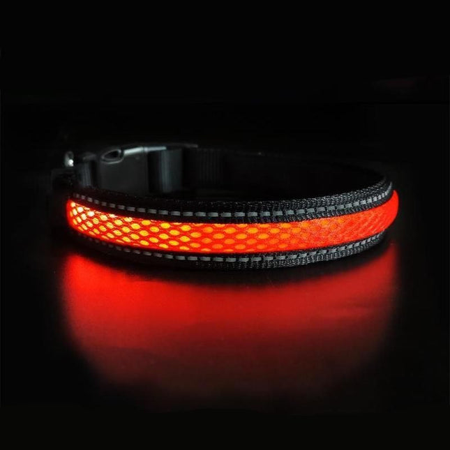 Nylon Dog Collar Flash Night Safety LED Glow Waterproof - Wnkrs